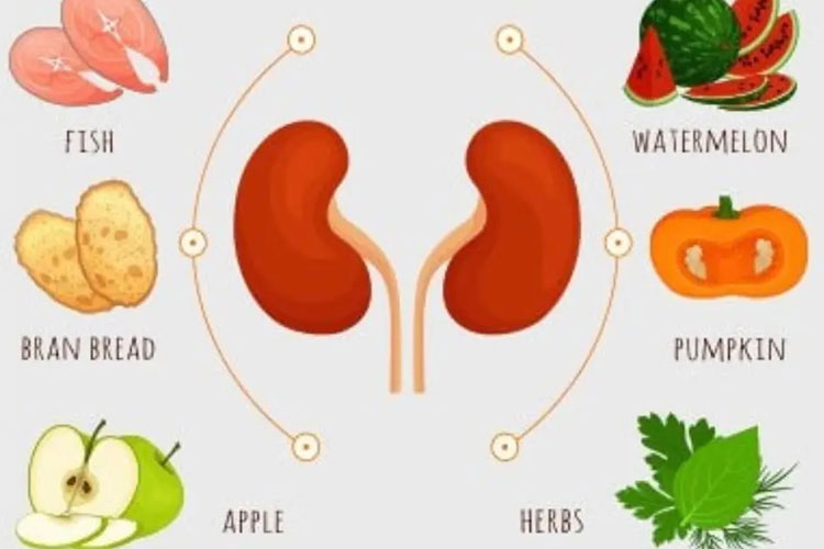 غذاهای مفید برای کاهش و کنترل اوره و کراتین خون