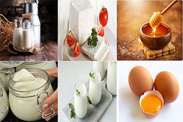محصولات لبنی رژیم غذایی اسلامی/حلال