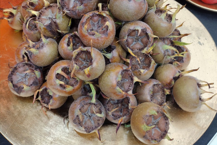 تصویر ازگیل