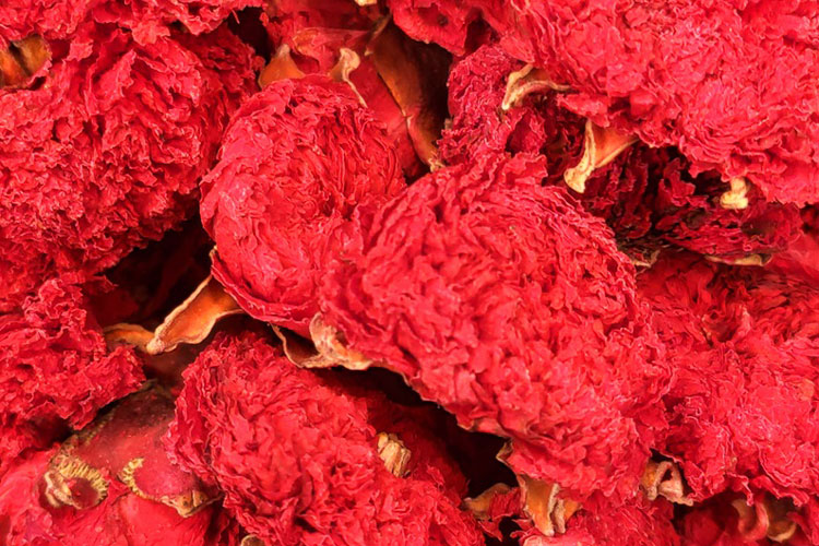 گلنار فارسی از نمای نزدیک