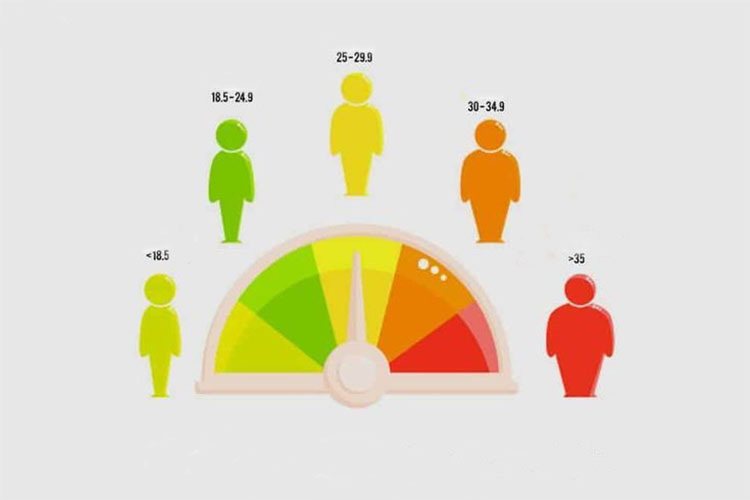 مکمل های مورد نیاز در کنار BMI