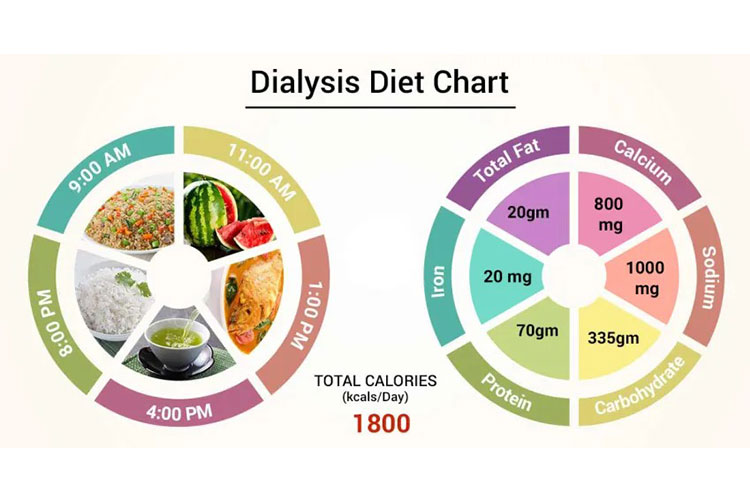 نکات مهم در رژیم اورمیک